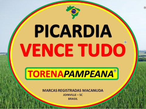 PICARDIA VENCE TUDO E TORENA PAMPEANA NO ESTADO DO ESPÍRITO SANTO